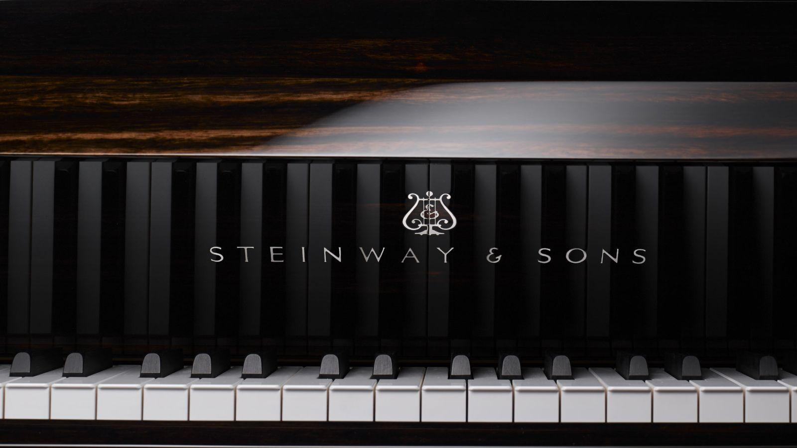 1299_s_steinway_makassar_detail_tastatur_fma.jpg.jpg