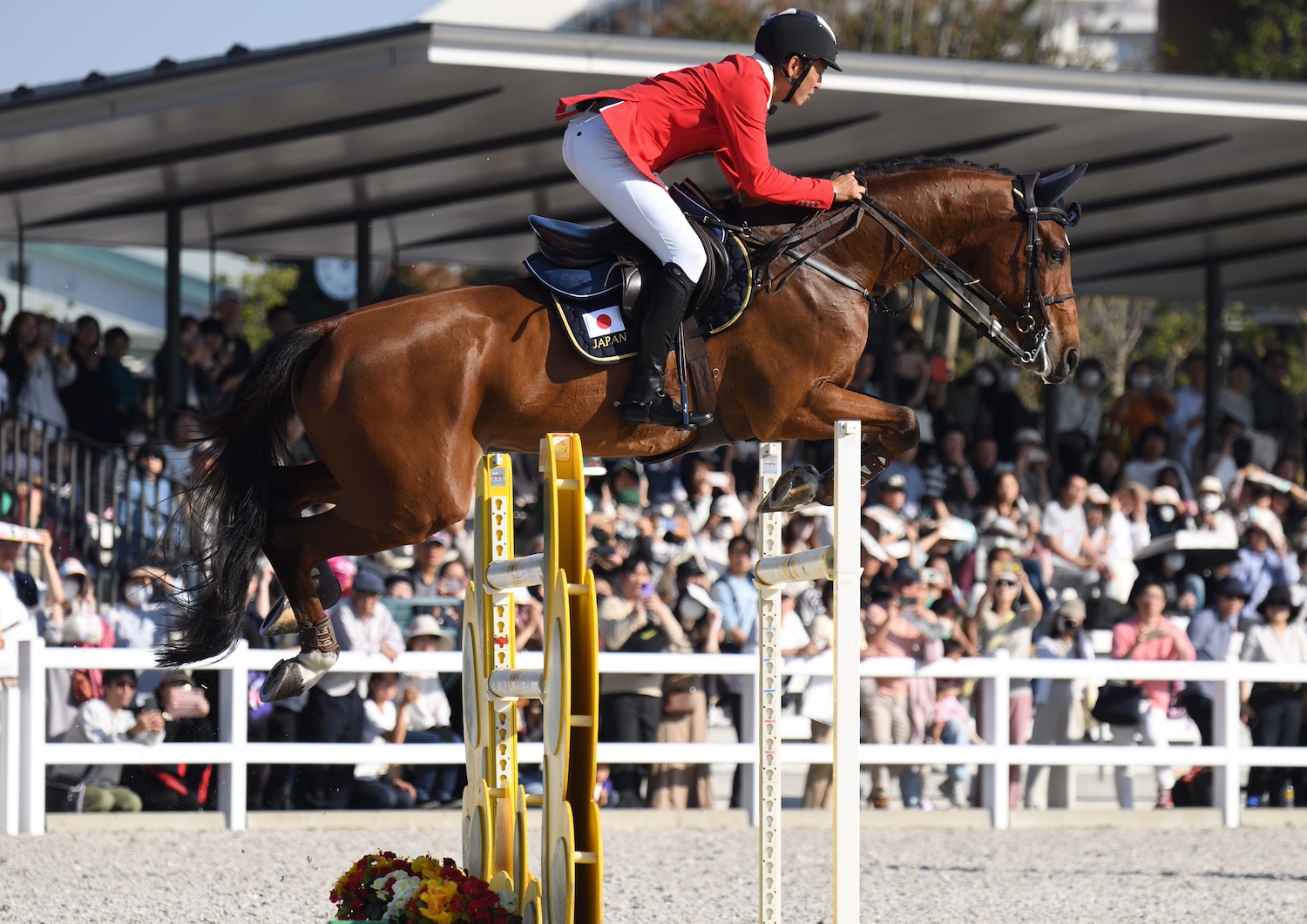ラルフ ローレンが賛同する日本最大級の障害馬術・馬場馬術大会｜JRA
