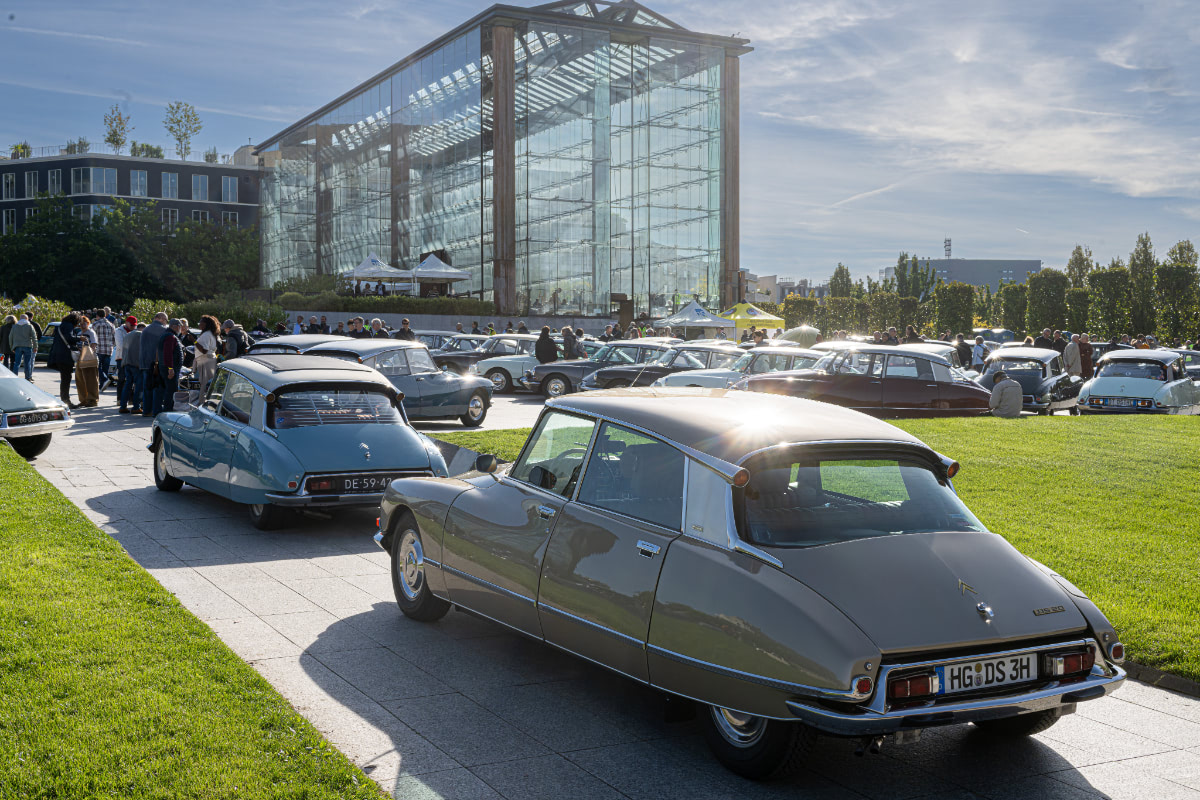 DS70周年｜ジャヴェルに還る200台 | octane.jp | 美しい車と暮らす