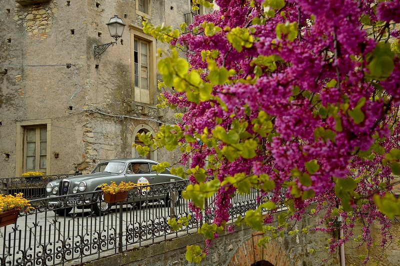 100分の一秒を争う タルガ フローリオ クラシックとは Octane Jp Fuelling The Passion 車に情熱を