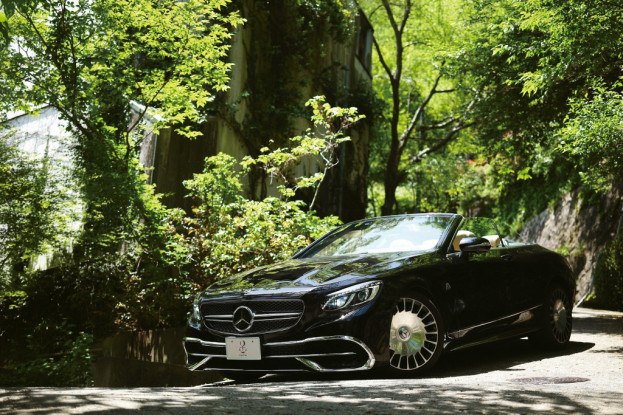 RIDE VIP ? EURO PORT COLLECTION Vol.15 Mercedes-Maybach S650