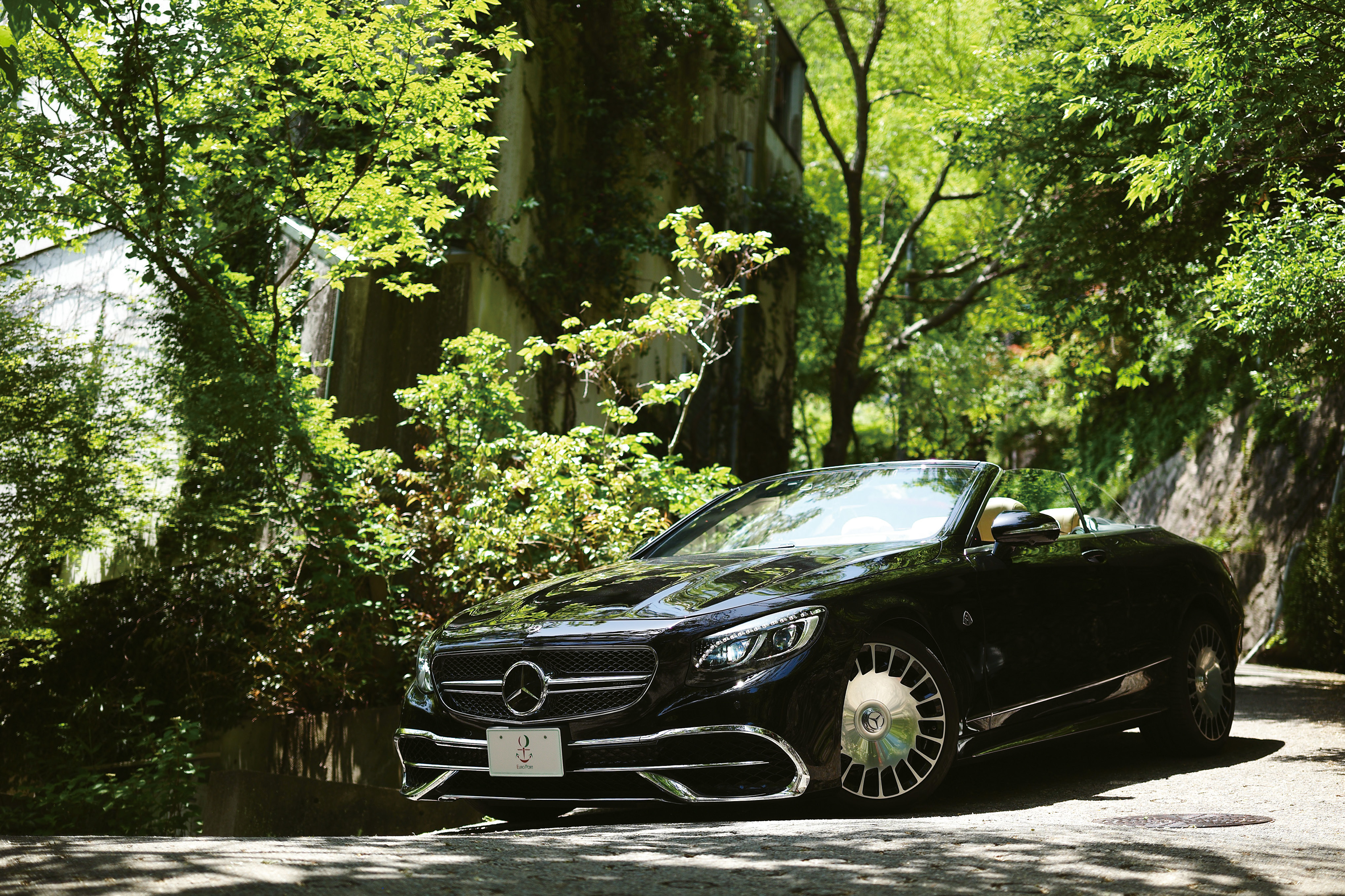 RIDE VIP ? EURO PORT COLLECTION Vol.15 Mercedes-Maybach S650