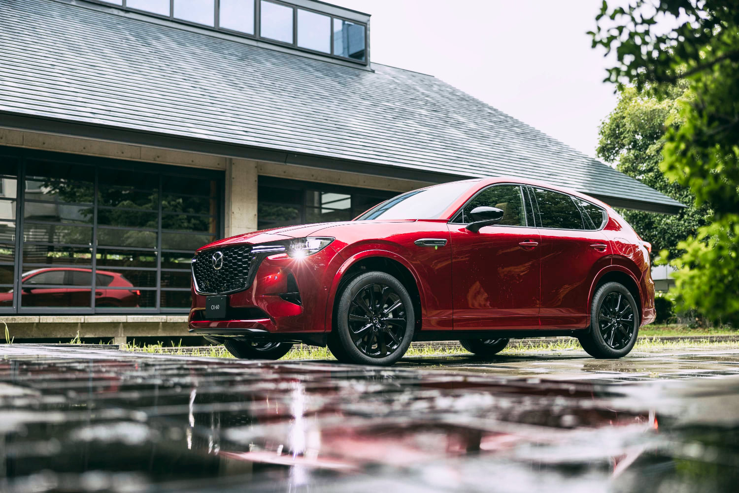 最終価格！今月まで！新品プレミアムアクティブ・マイセラムの4本セット　半額以下！ scramble AGRAAM SAKURAMASU edition - XESTAゼスタ公式ウェブサイト