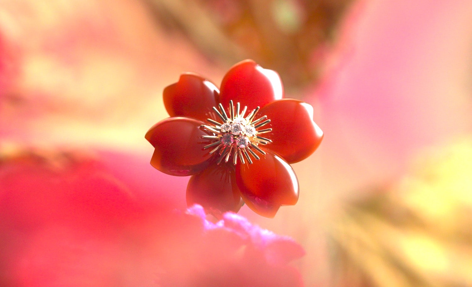 Abstract Single Flower 240720 (Gary x Gold) by 奥田雄太